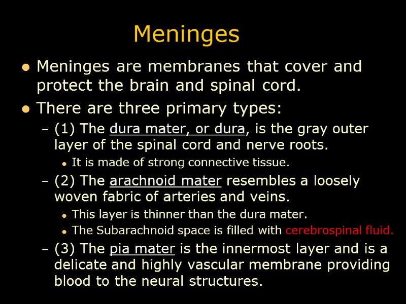Meninges Meninges are membranes that cover and protect the brain and spinal cord. 
